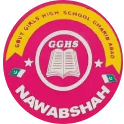 Liaquat University Logo