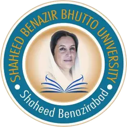 Liaquat University Logo